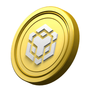 Decorative BNB coin featured in the platform's information section